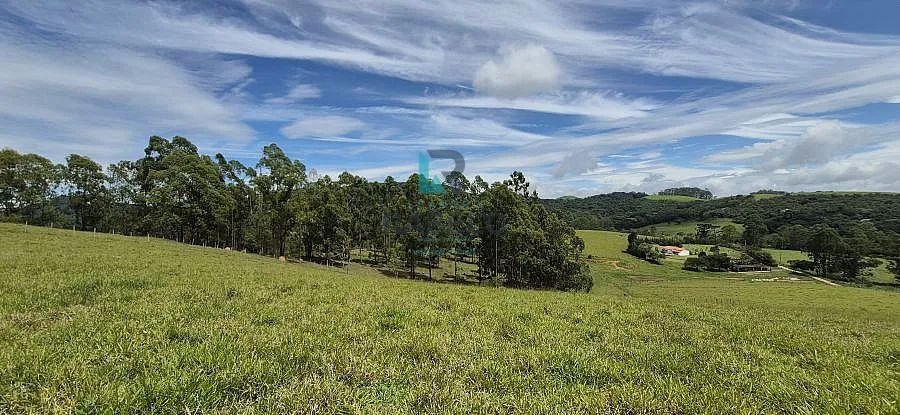 CHÁCARAS EXCLUSIVAS NA SERRA PRÓXIMO A CUNHA-SP - Foto 3