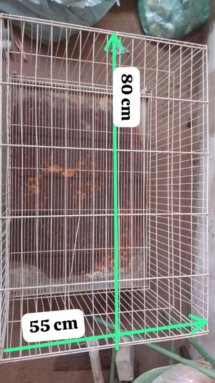 Gaiola - Foto 3