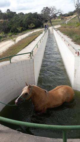 Haras 45 Ha Esmeraldas - Foto 3