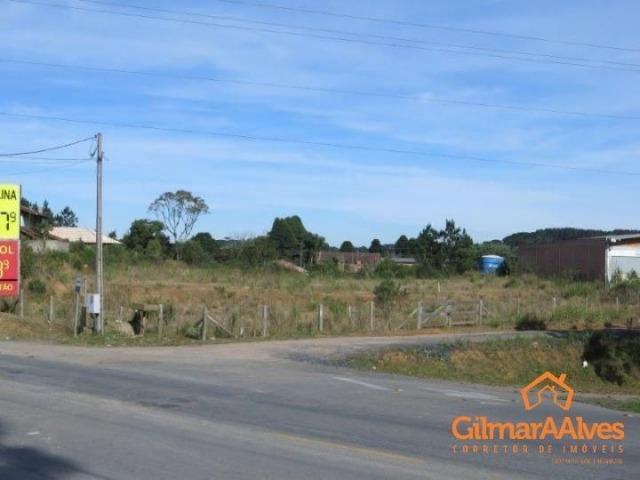 Terreno para Venda, 5.277,53 m², São Bento do Sul / SC, bairro Serra Alta - Foto 3