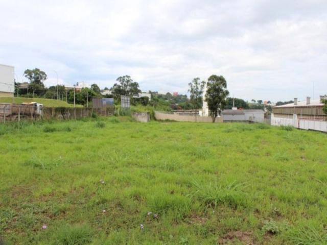 Terreno para alugar com 0 dormitórios em Distrito industrial, Jundiaí cod:TE06482 - Foto 3