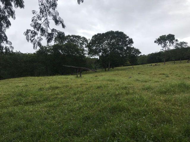 86 Alq 140 km de Goiânia - Foto 9