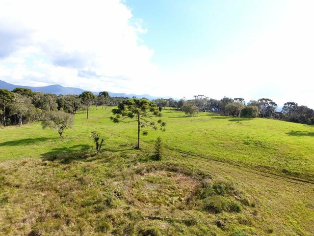 Sítio em Urubici/chácara em Urubici/terreno em Urubici - Foto 4