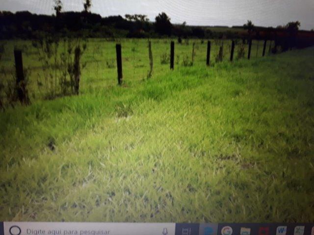 Reginópolis-área de 10600m2 - Foto 5