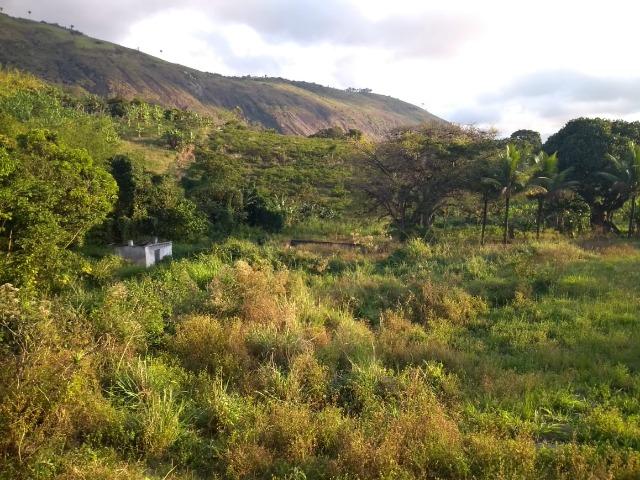Excelente propriedade de 33 hectares, escriturada e registrada, em Bonito-PE