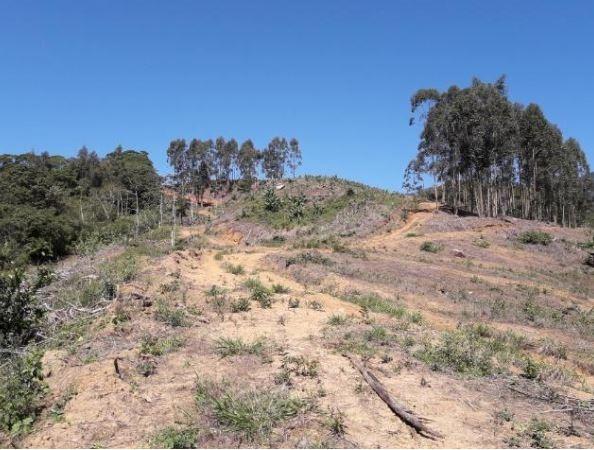 Sítio Localizado na Estrada Geral, Alto Braço Baú, 45 mil m² - Foto 12