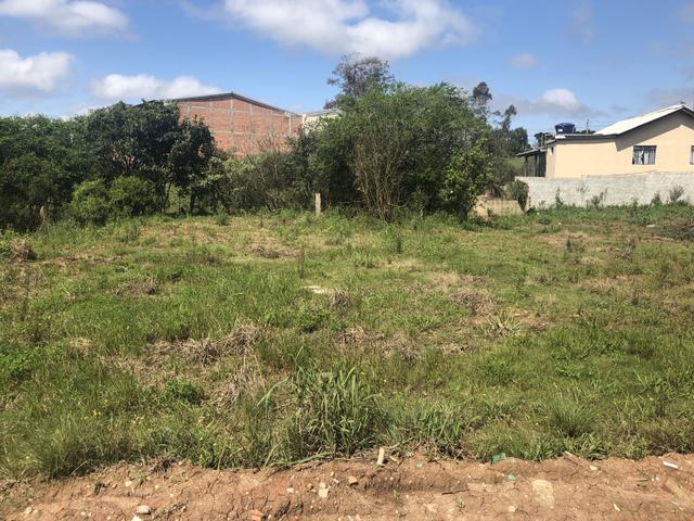 Terreno na Colônia Murici próximo ao Caminho do Vinho - SÃO JOSÉ DOS PINHAIS - Foto 3