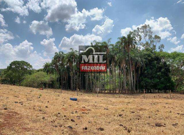 Chácara 10.5 Alqueires ( 50.82 ha ) Leopoldo de Bulhões-GO - Foto 14