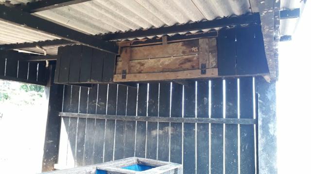 Fazenda no Acre - Foto 10