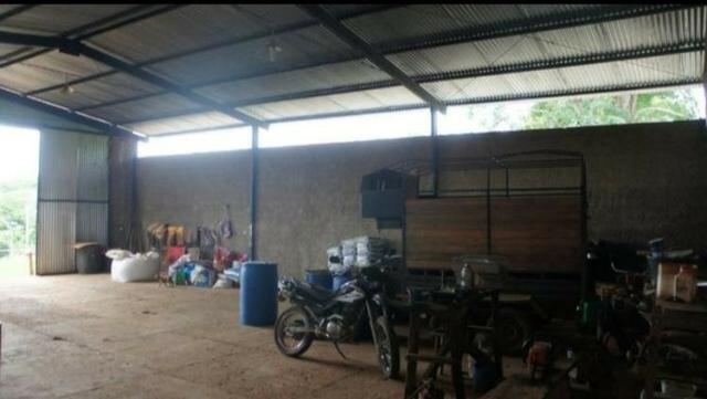 Fazenda 225 km de Goiânia município de Ipameri - Foto 10