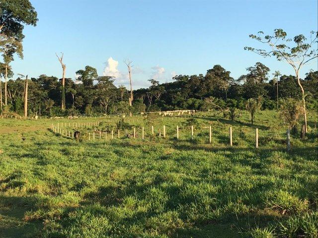 Fazenda no Acre - Foto 11