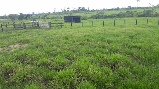 Fazenda no Acre