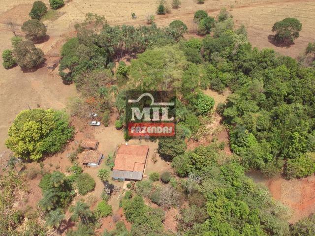 Chácara 10.5 Alqueires ( 50.82 ha ) Leopoldo de Bulhões-GO - Foto 10