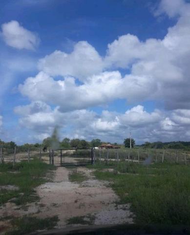 Fazenda rural em forquilha - Foto 14