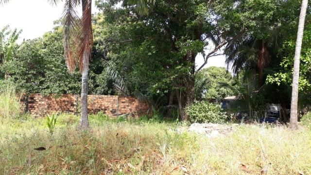 Vendo terreno na Vila de Cuiarana - Foto 4