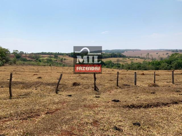 Chácara 10.5 Alqueires ( 50.82 ha ) Leopoldo de Bulhões-GO - Foto 2