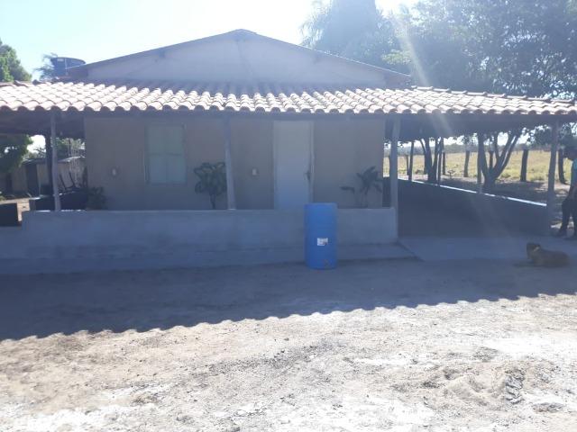 Fazenda no município de Edeia - GO - Foto 2