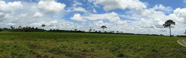 Área Rural (61 hectares) - Foto 5