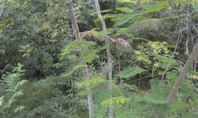 Vendo Terreno 12x30 em Itaboraí - aceito proposta - Foto 9