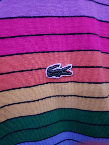 lacoste arco iris original