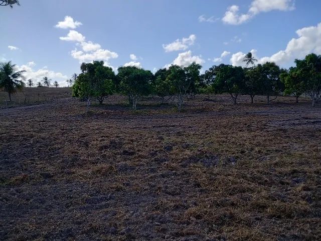 Granja no Arenã, Monte Alegre/RN - Foto 3