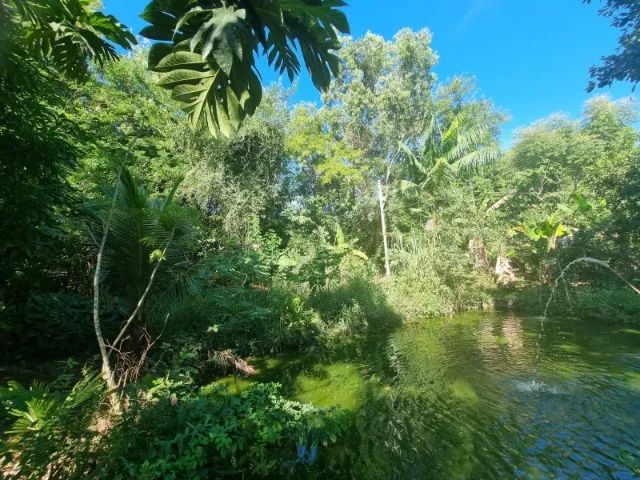 Chácara no Córrego Sete - Foto 4
