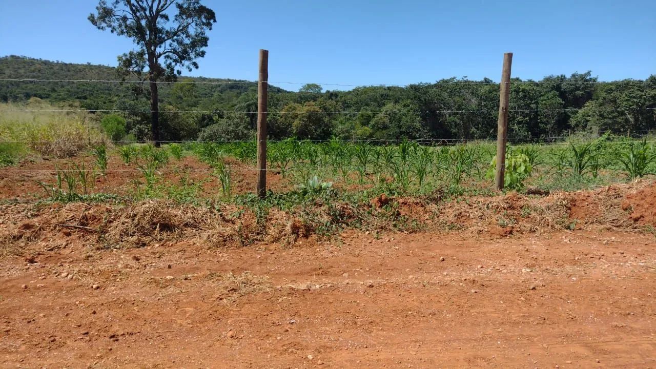 foto - Ribeirão das Neves - Kátia (Justinópolis)