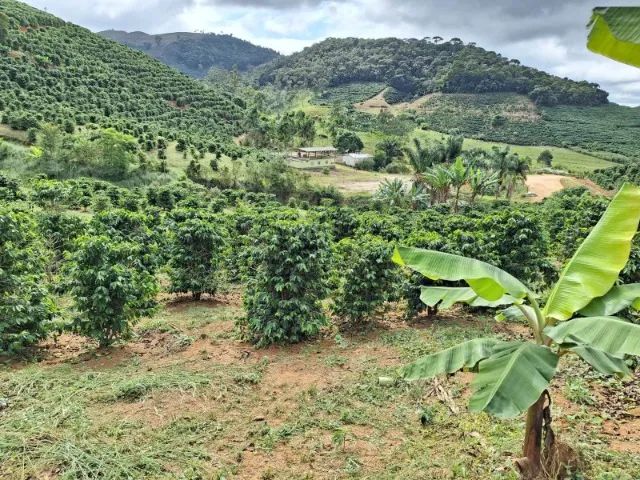 ? SÍTIO À VENDA - GUAÇUÍ/ES ? - Foto 4