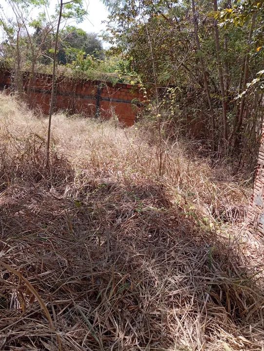 Bairro Jaragua ,Lote 529 Metros Com Poço Artesiano....aceita veiculo ... - Foto 2