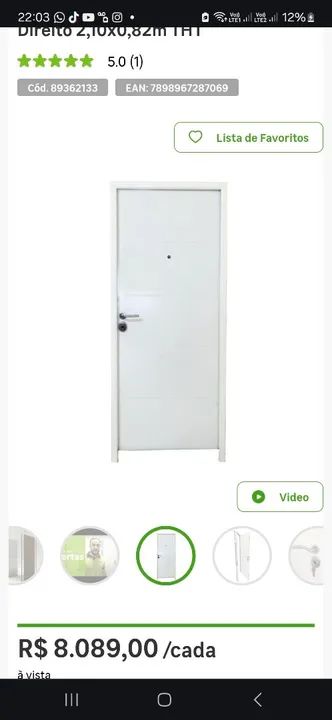 Porta de Segurança de Giro Metal / Nova