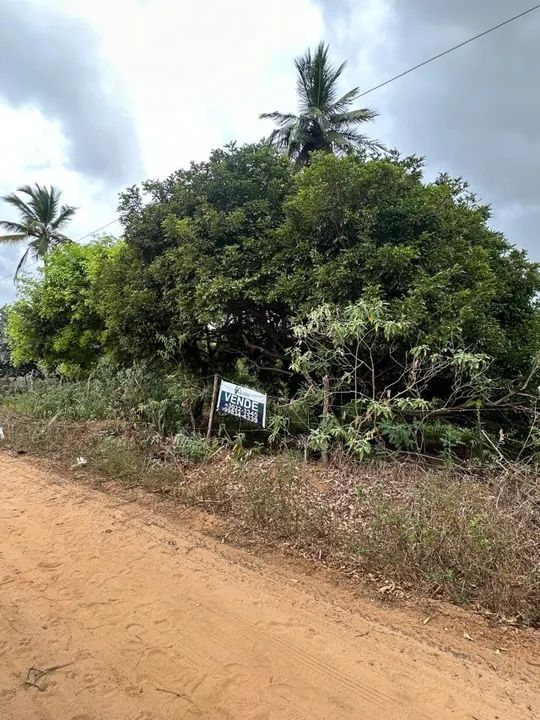 VENDE-SE TERRENO NO MOSQUEIRO  - Foto 3