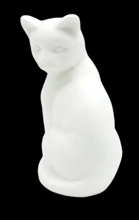 Gatinho Branco - Foto 2