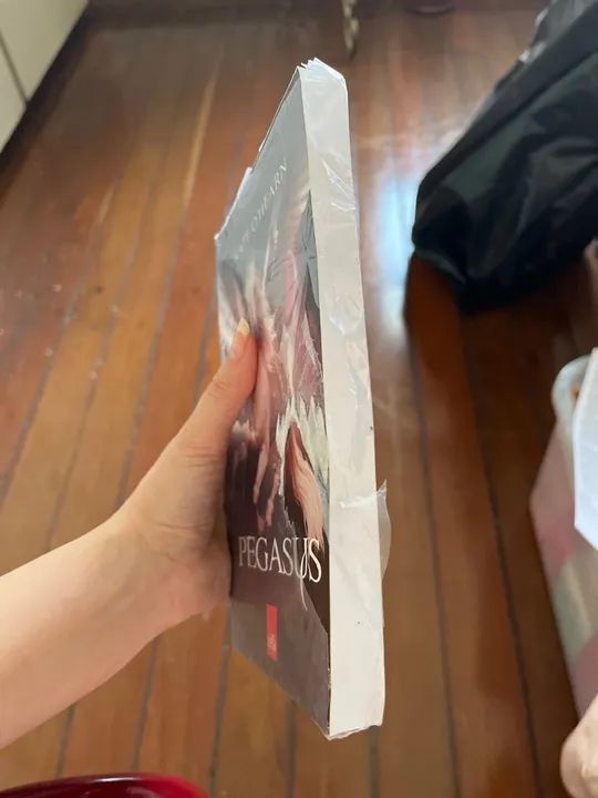 Livro: Pegasus - Foto 3