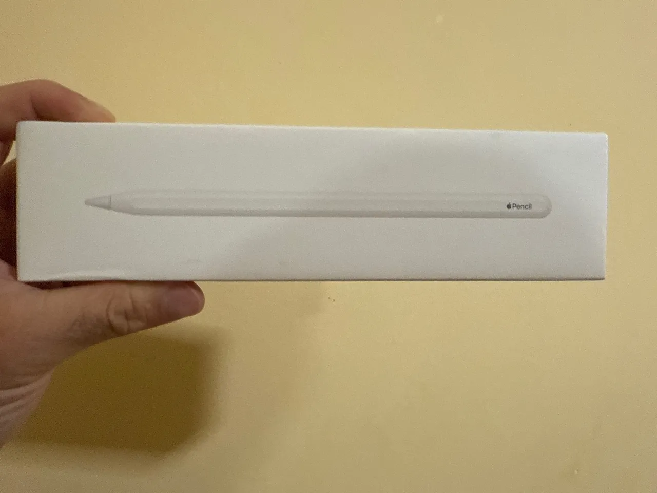Apple Pencil 2ª geração - Novo na Caixa