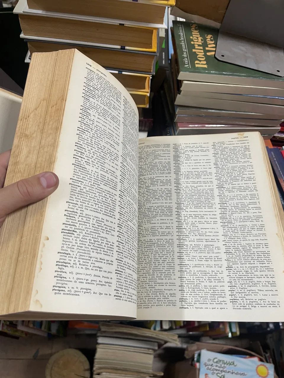 Dicionário Brasileiro Mirador 2 volumes capa dura - Foto 3