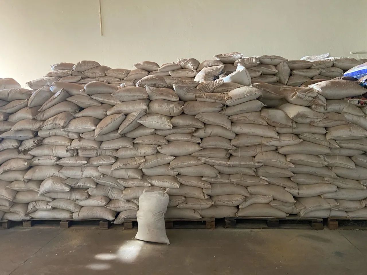 Farinha de Ossos - Foto 2