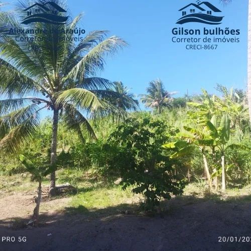 Granja com 4,5 hectares de terra há 2 km da praia bela-pb. - Foto 3