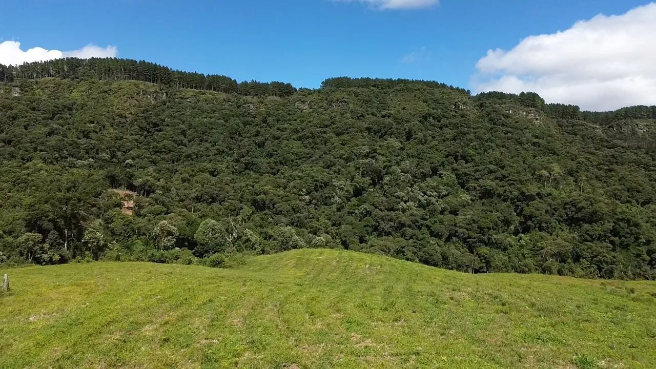 Vende sítio  - Foto 7