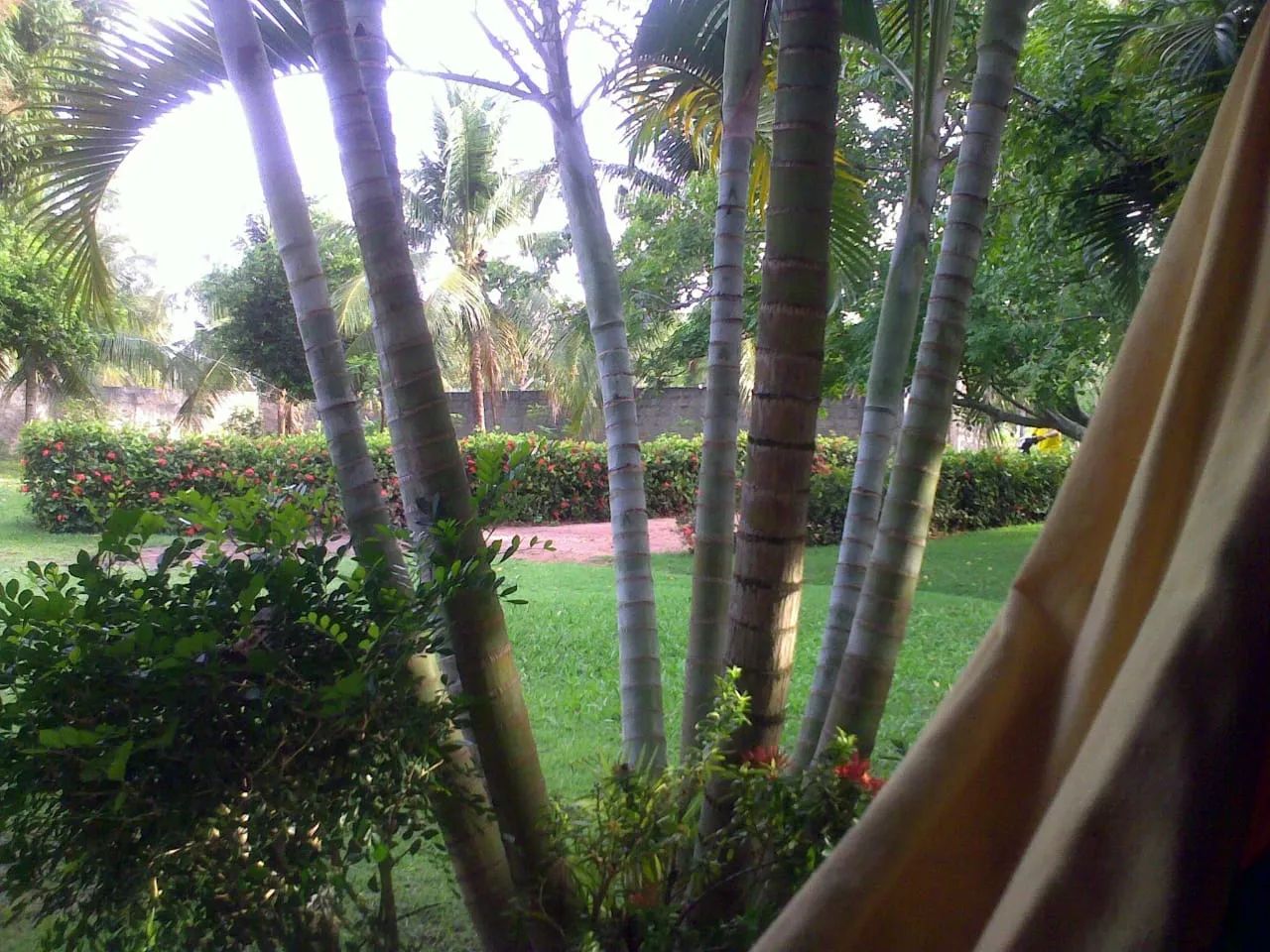 granja bem estruturada próximo a lagoa do Bonfim - Foto 2