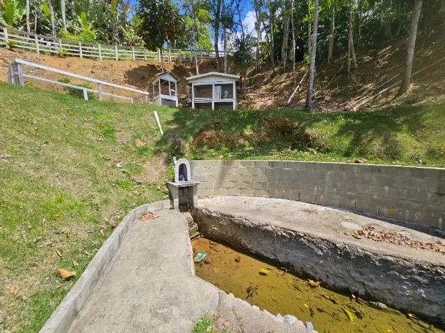 Lindo sitio em Aguas Mornas - Foto 3