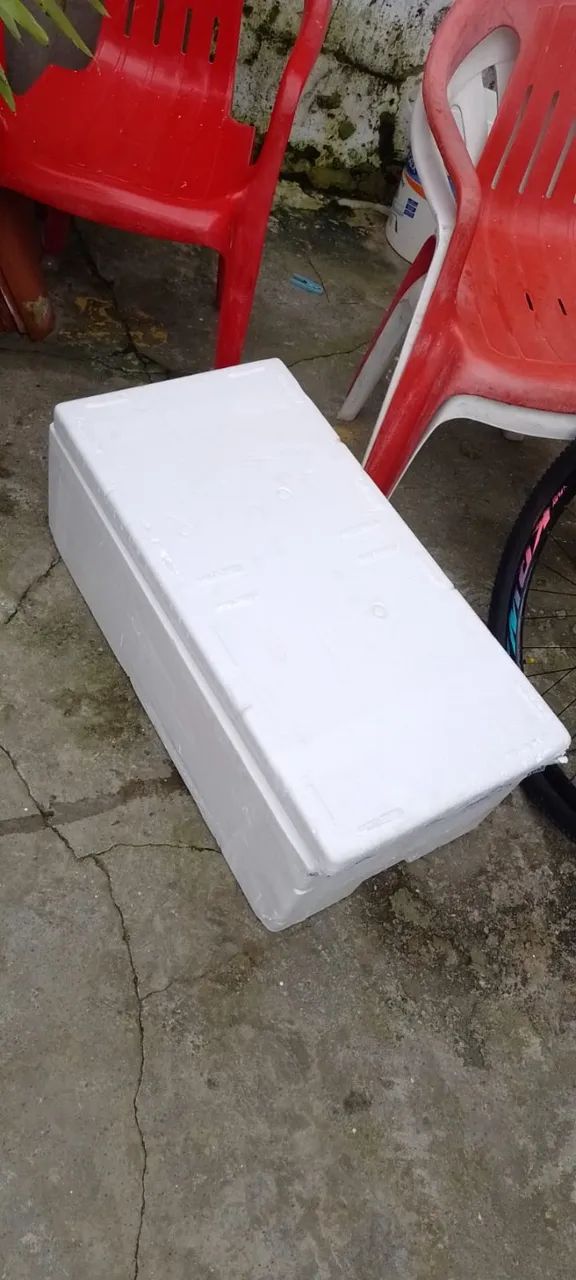 Caixa de isopor Comprimento 58 cm  Largura 41 cm Altura 17 