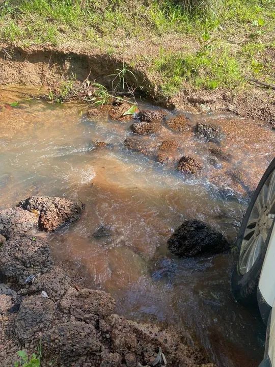 Terreno com área verde em local tranquilo - Foto 3