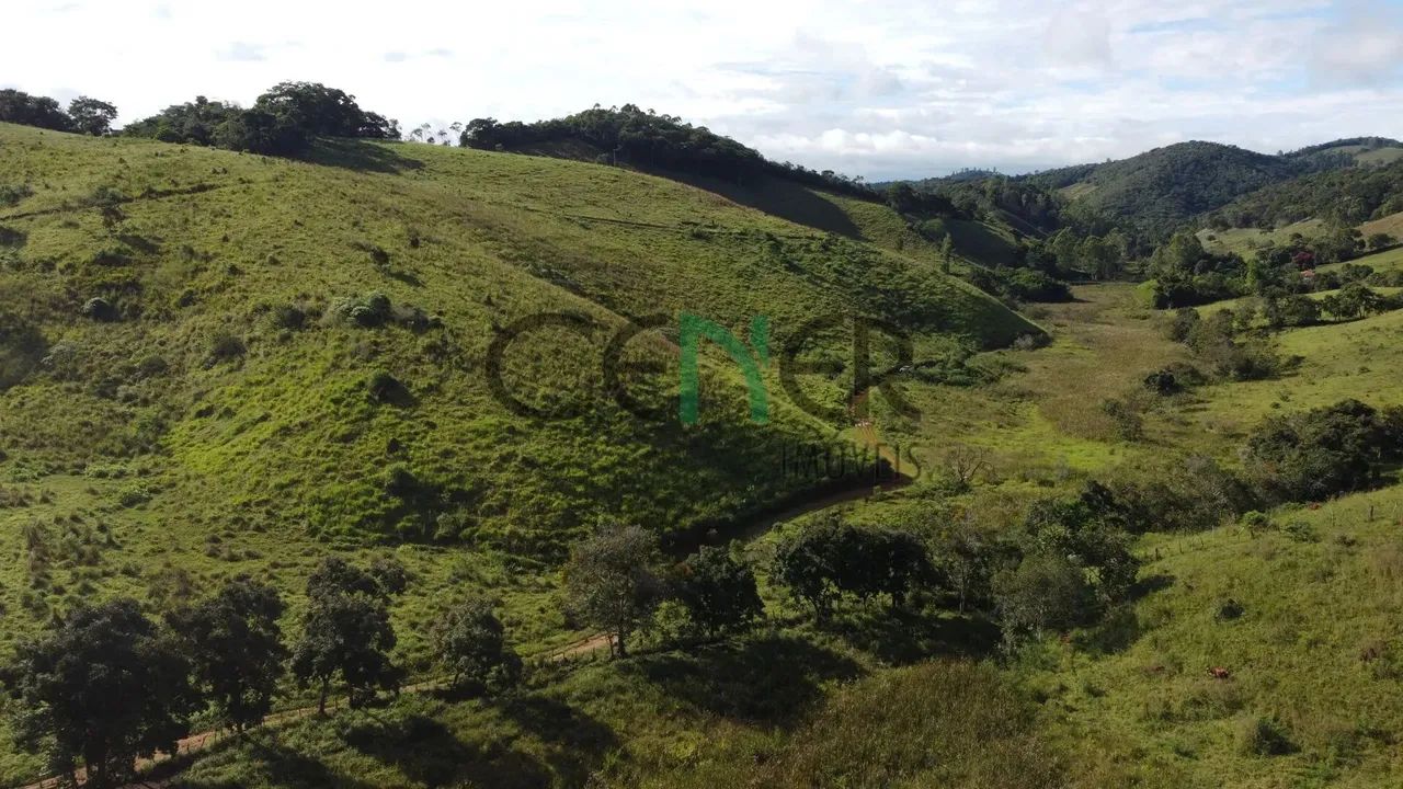 Fazendinha muito boa de 29 ha na região de Cons Lafaiete MG - Foto 5