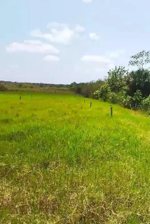 Fazenda à venda porteira fechada, Estado Maranhão, São Luís MA - Foto 3
