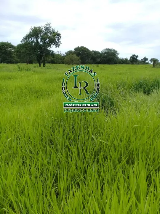Fazenda 50 Alqueires Dupla Aptidão