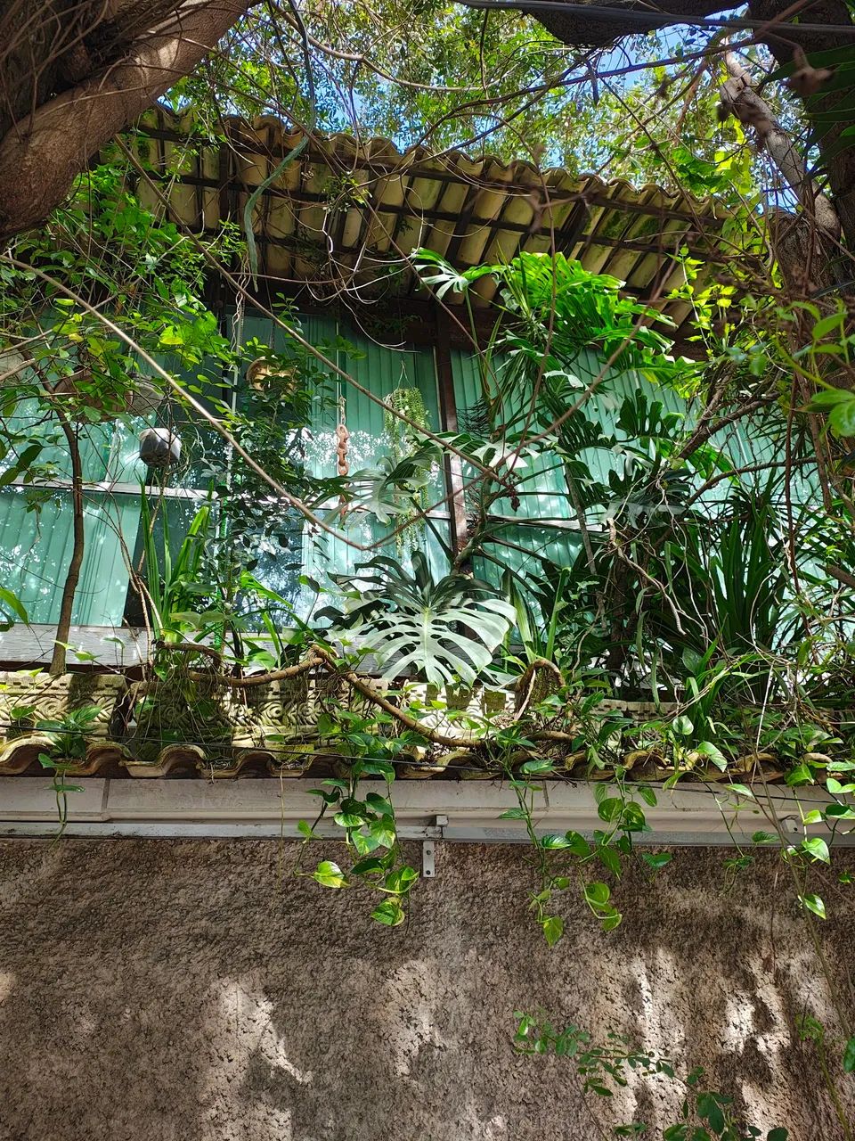 Foto - Vila Velha - Centro de Vila Velha