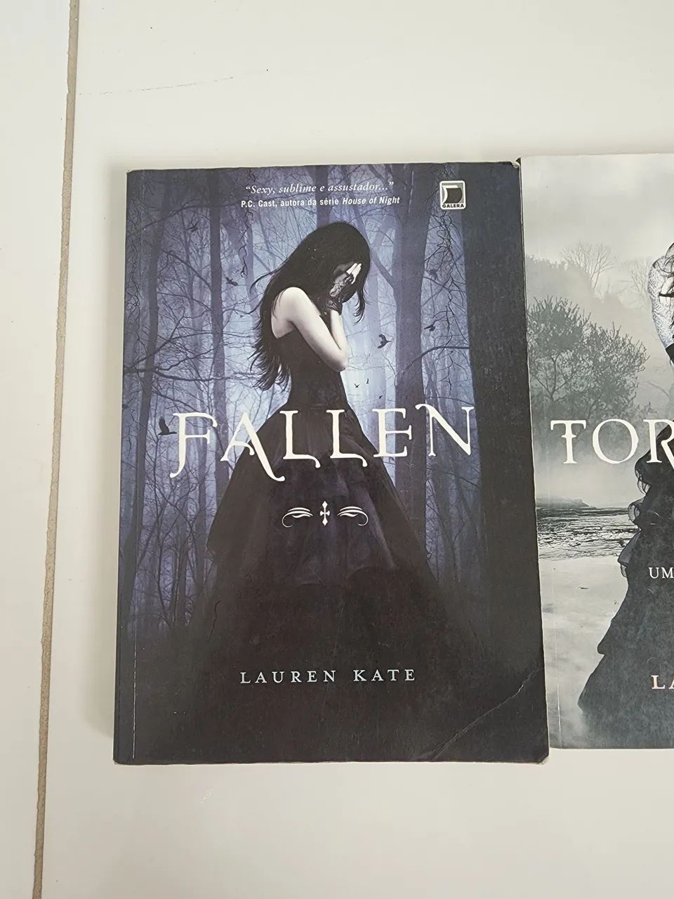 Saga Fallen (3 Volumes) - Lauren Kate - Foto 2