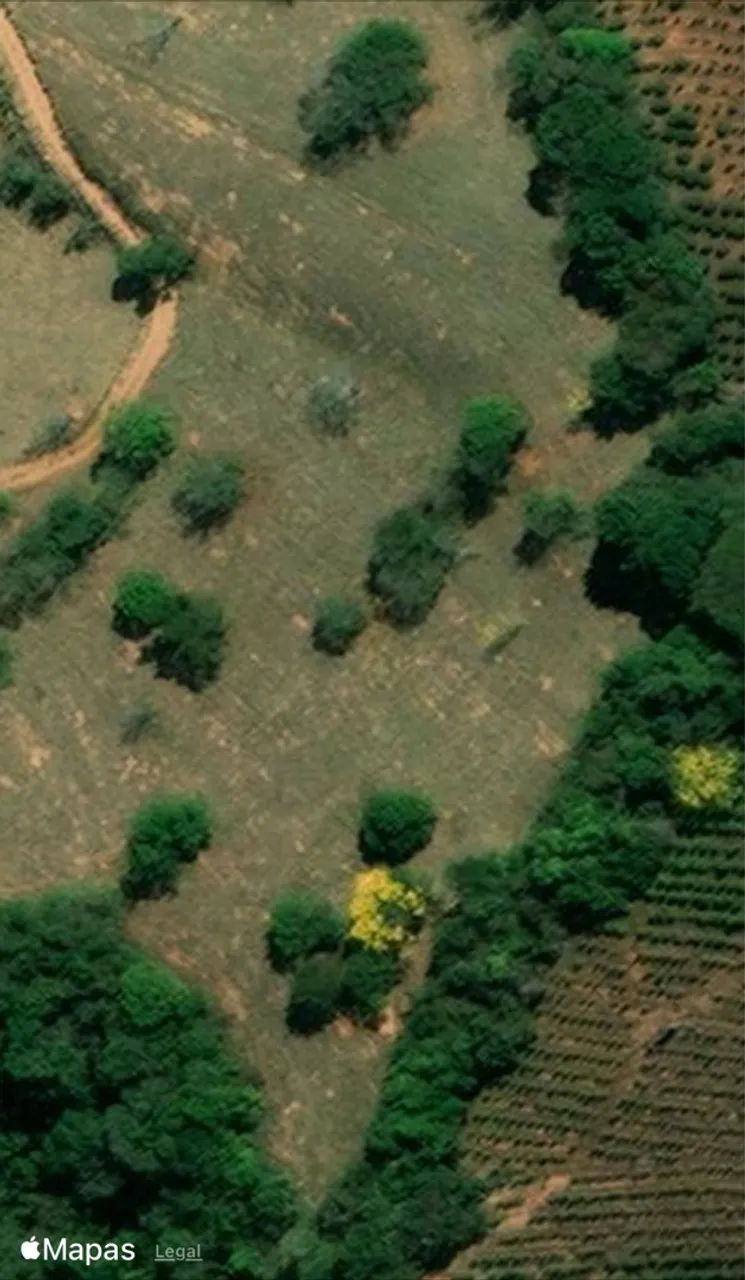 Área com 20 mil metros em jacutinga - Foto 4