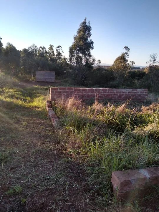 Sítio em Taquara  - Foto 4