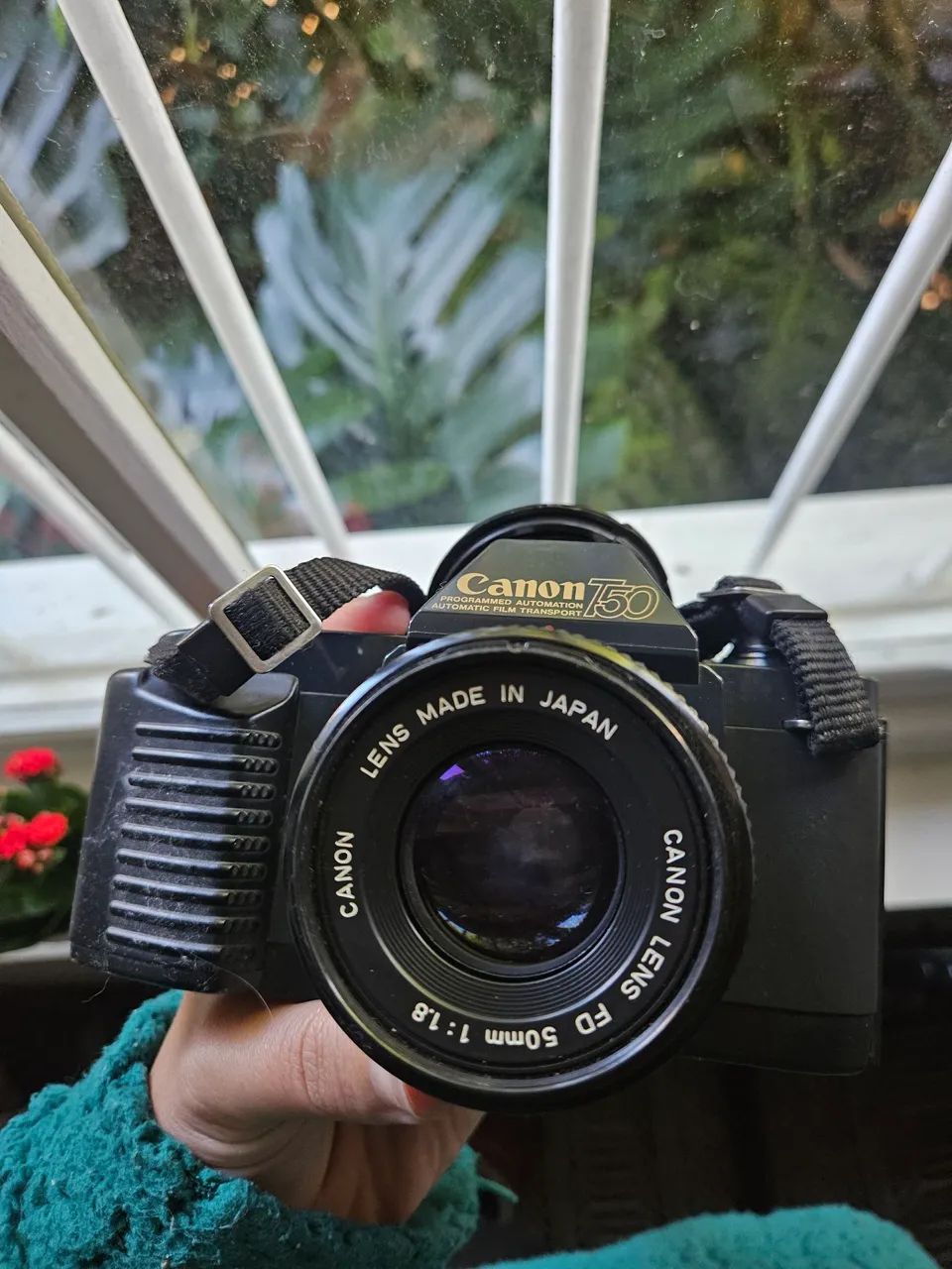 Câmera Canon T50 35mm